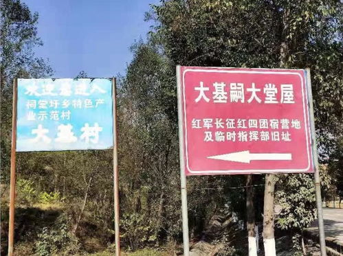 蓝山县红色旅游景点的百年古树被乱砍伐,谁来管一管