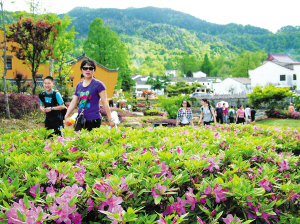 火红的九华山五月旅游市场-九华山-中安在线-旅游