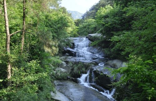 湖南这个景区,因停车问题引起争议,游客直呼 好贵