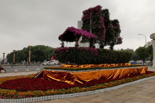 视界 红旗飘飘,鲜花绚烂 南昌城管布置盛景迎国庆